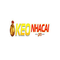 logo-500