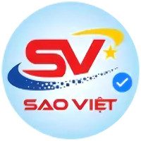 logo-Tr-ng-D-y-L-i-Xe-Sao-Vi-t-1