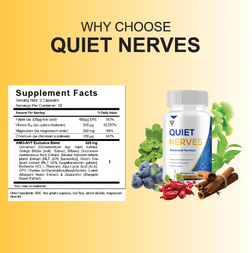 Quiet Nerves Reviews 4.png
