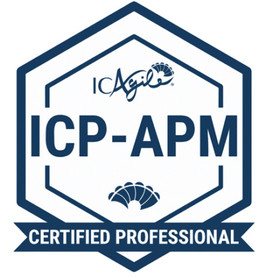 Professional Product Management Certification for Amazing Experience