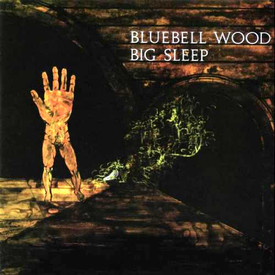 bigsleepfbluebell_w1fbe04ced13214ad602f19.jpg