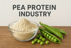 peaproteinmarket.jpg