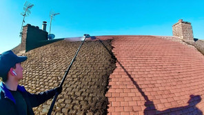 domesticroofcleaning.jpg
