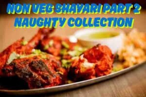 Non Veg Shayari Part 2 Naughty Collection