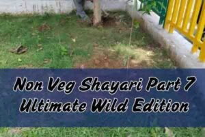Non Veg Shayari Part 7 Ultimate Wild Edition
