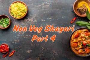 Non Veg Shayari Part 4