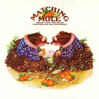 matchingmole.jpg