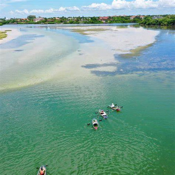 30 Outdoor Activities in Tampa Bay to Try Together