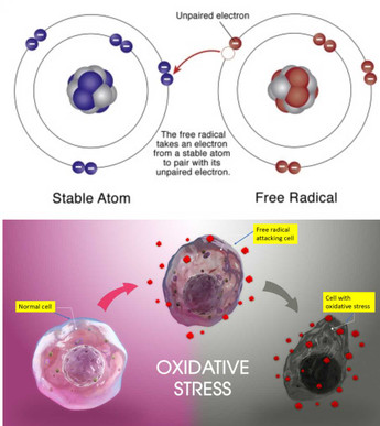 stealelectron2.jpg