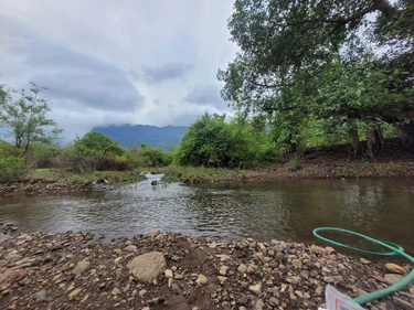 Sustainable Lifestyle Retreat India: The Bottom Line