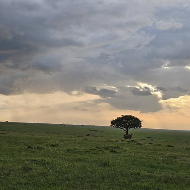 4 Days Kenya Safari Tour: The Bottom Line