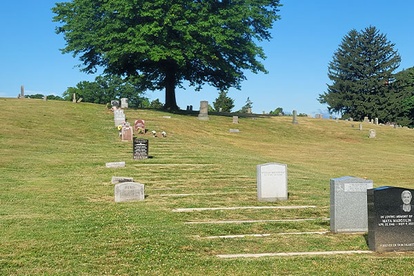 be9df75b150969403b0f90e1ae1b5855.png