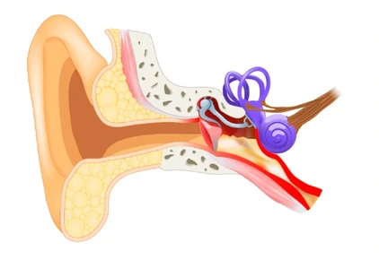 Otitis Media Treatment In Mumbai