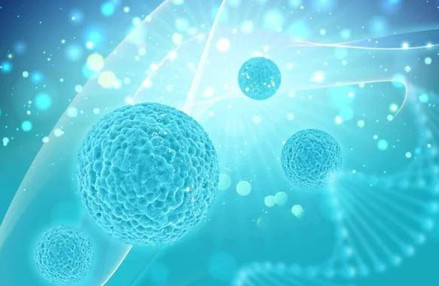 What Is CAR T Cell Therapy China?
