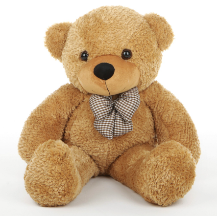 teddybearsydney.png