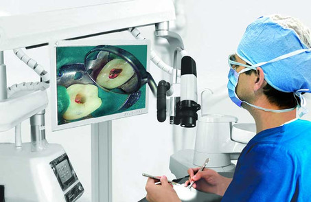 microscopicdentisity.jpg