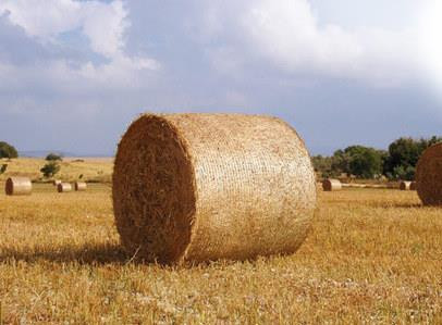 Hay neatly wrapped in high-quality net wrap, sitting in an open field for optimal preservation.