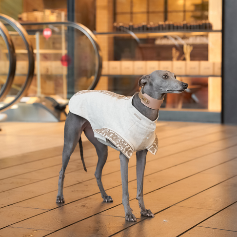 Poesia Embroidered Linen Shirt