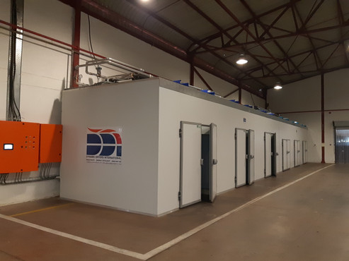 How a Vegetable and Fruit Dryer Can Transform Your Food Preservation