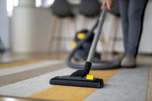 Suggestions for Picking The Right Carpet Cleaner