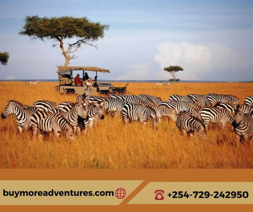 Masai Mara Migration Safari