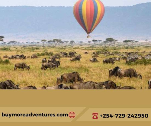 Masai Mara Migration Safaris