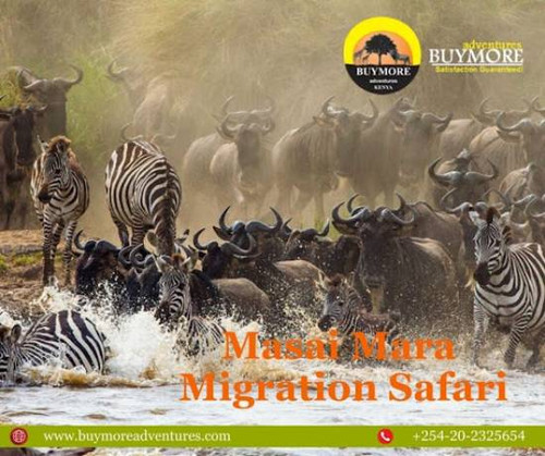 Masai Mara Luxury Safari
