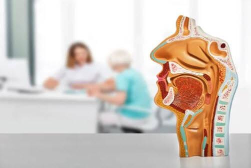 Your Guide to ENT Consultations in Singapore