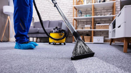 How Much Does Carpet Cleaner Rental Cost In 2024? – Forbes Home