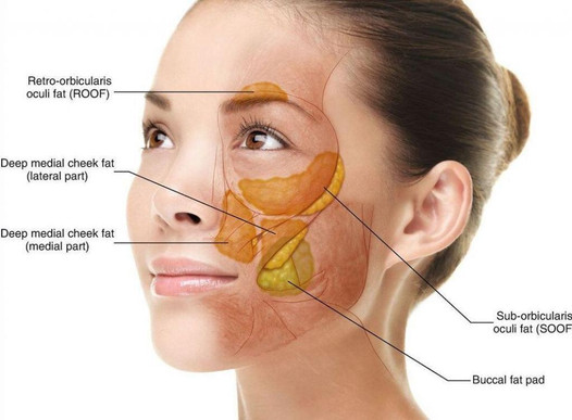 Buccal Fat Removal Surgery in Mumbai