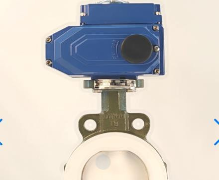image1.jpg