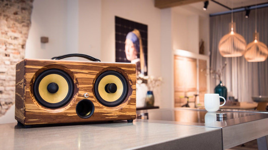 Outdoor Speakers