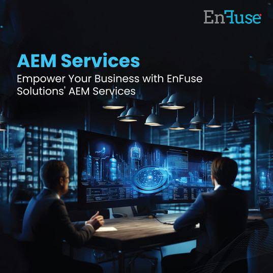 empoweryourbusinesswithenfusesolutionsaemservices.jpg