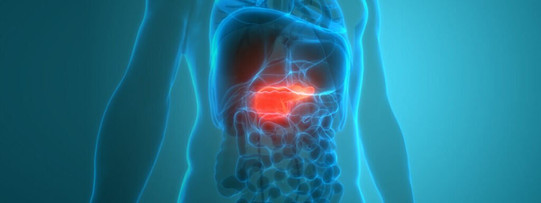 Understanding Gall Bladder Cancer Treatment with Dr. Ganesh Nagarajan in Mumbai Doctor Near Me gall bladder cancer treatment