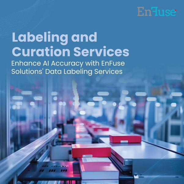 enhanceaiaccuracywithenfusesolutionsdatalabelingservices.jpg