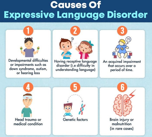 expressivelanguagedisorders.jpg