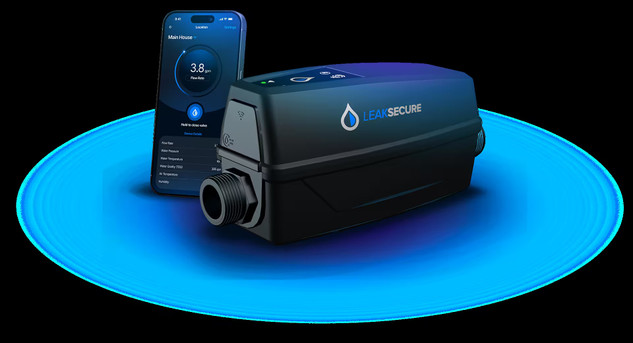 Home Leak Detection Services: The Bottom Line