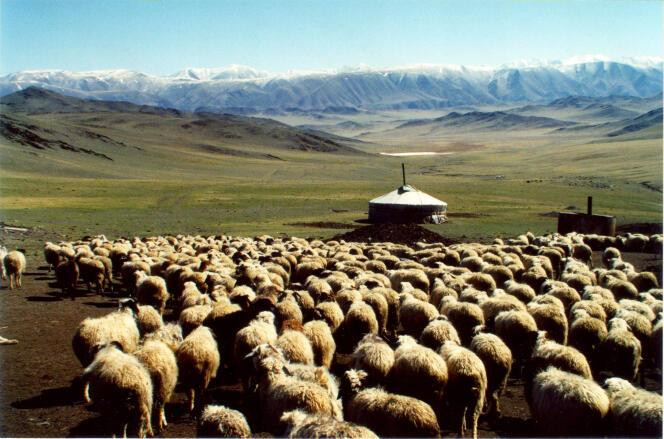 Un campement tuva, en Sibérie du Sud, en 2002. Photo prise par Charles Stépanoff.