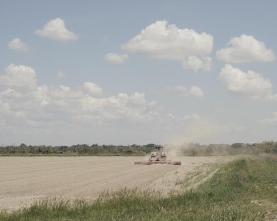 Un agriculteur prépare sa parcelle pour la mise en eau et la semence des grains de riz, au Sambuc, à Arles (Bouches-du-Rhône), le 4 mai 2022.