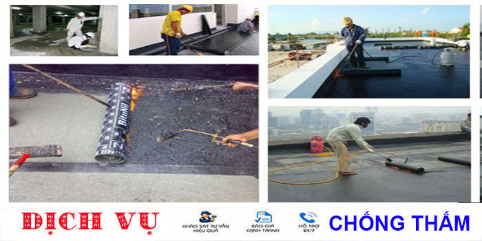ce7f81818760daf7c98514b976b89a82.jpg