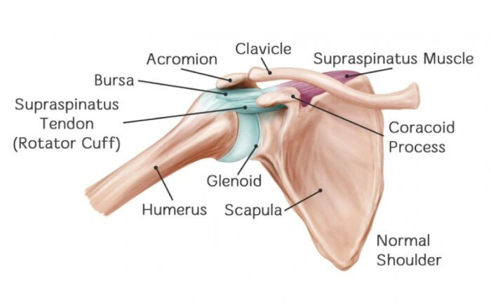Shoulder Impingement Syndrome Treatment in Bangalore: Dr. Ponnanna K.M