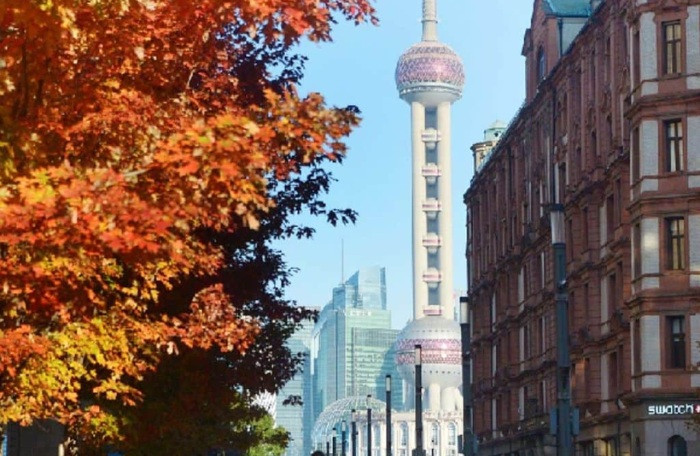 Vẻ Đẹp Cổ Kính Giữa Thành Phố Hiện Đại