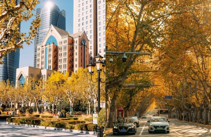 Những con phố cổ, khu vườn truyền thống hay bờ sông Hoàng Phố đều trở nên thơ mộng hơn bao giờ hết.