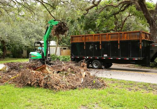 Yard Debris Removal: Essential Tips - Waste Removal USA