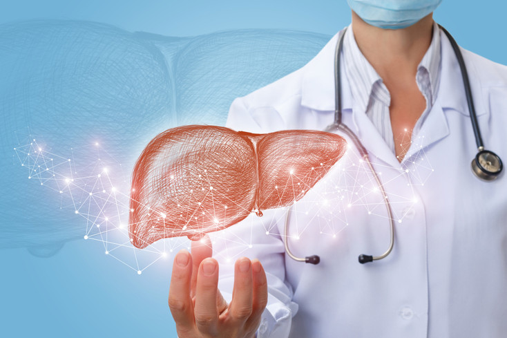 Human Liver Picture