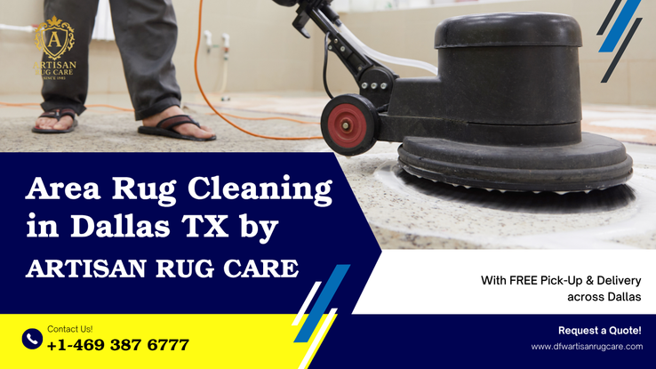 professionalarearugcleaningcarpetcleaningindallastx.png