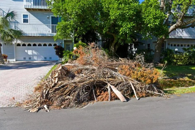 Yard Waste Cleanup Service in Fort Collins, CO | Cheap & Fast