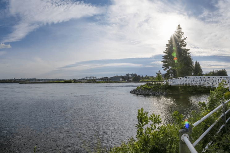 Recent CIC news 2025