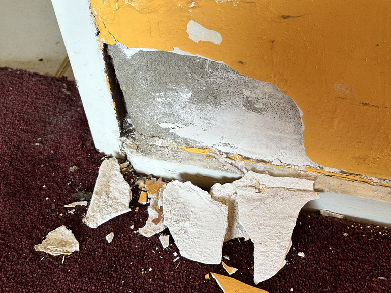 Building Inspections