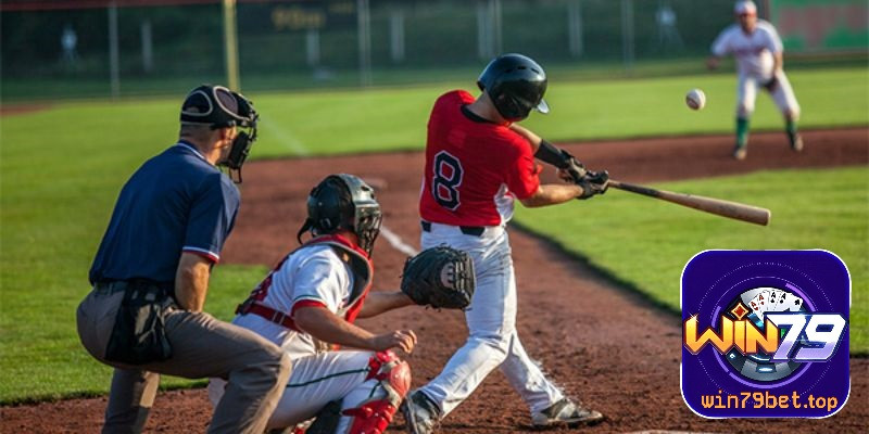 Chi tiết luật chơi cá cược bóng chày 